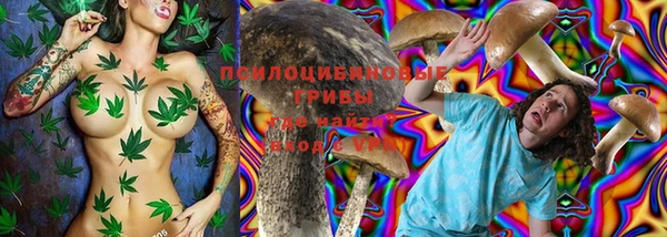 прущая мука Алзамай
